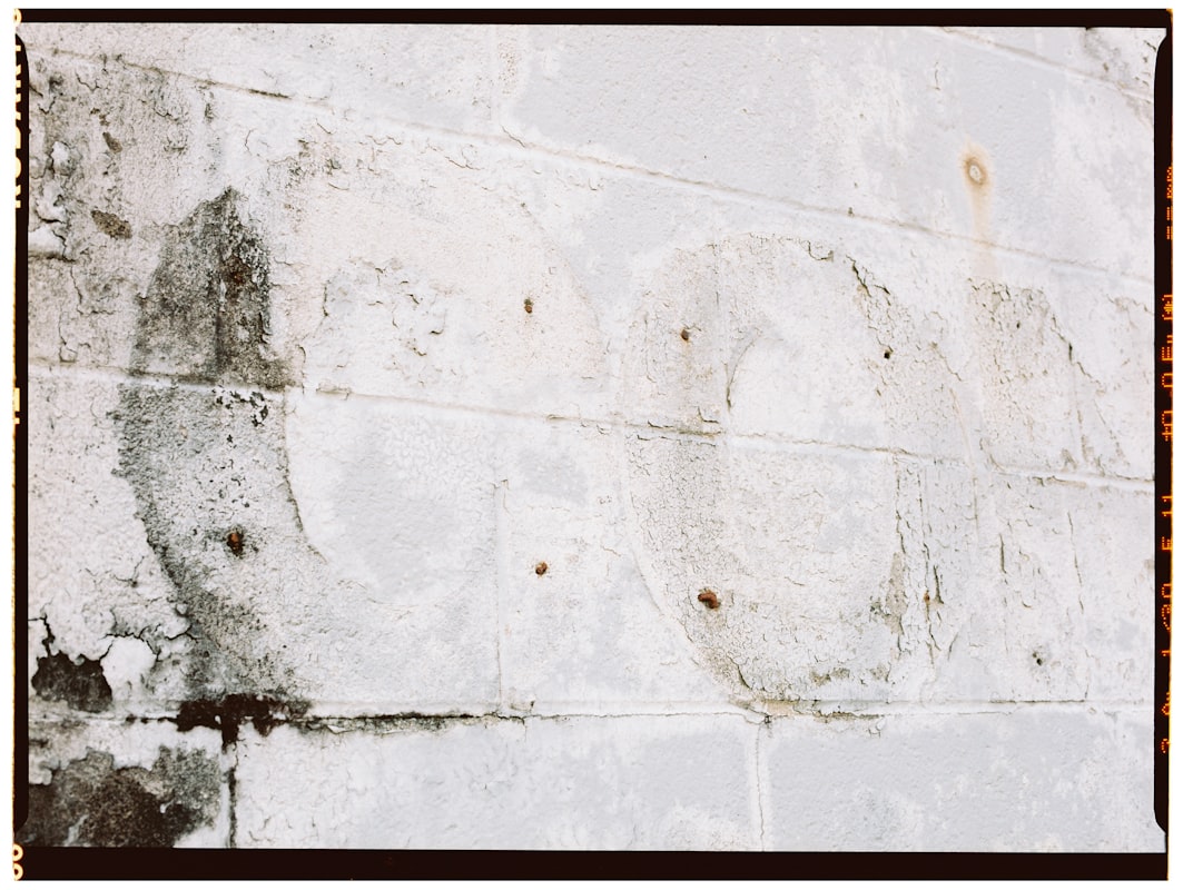 Mold Remediation service in Richland, WA