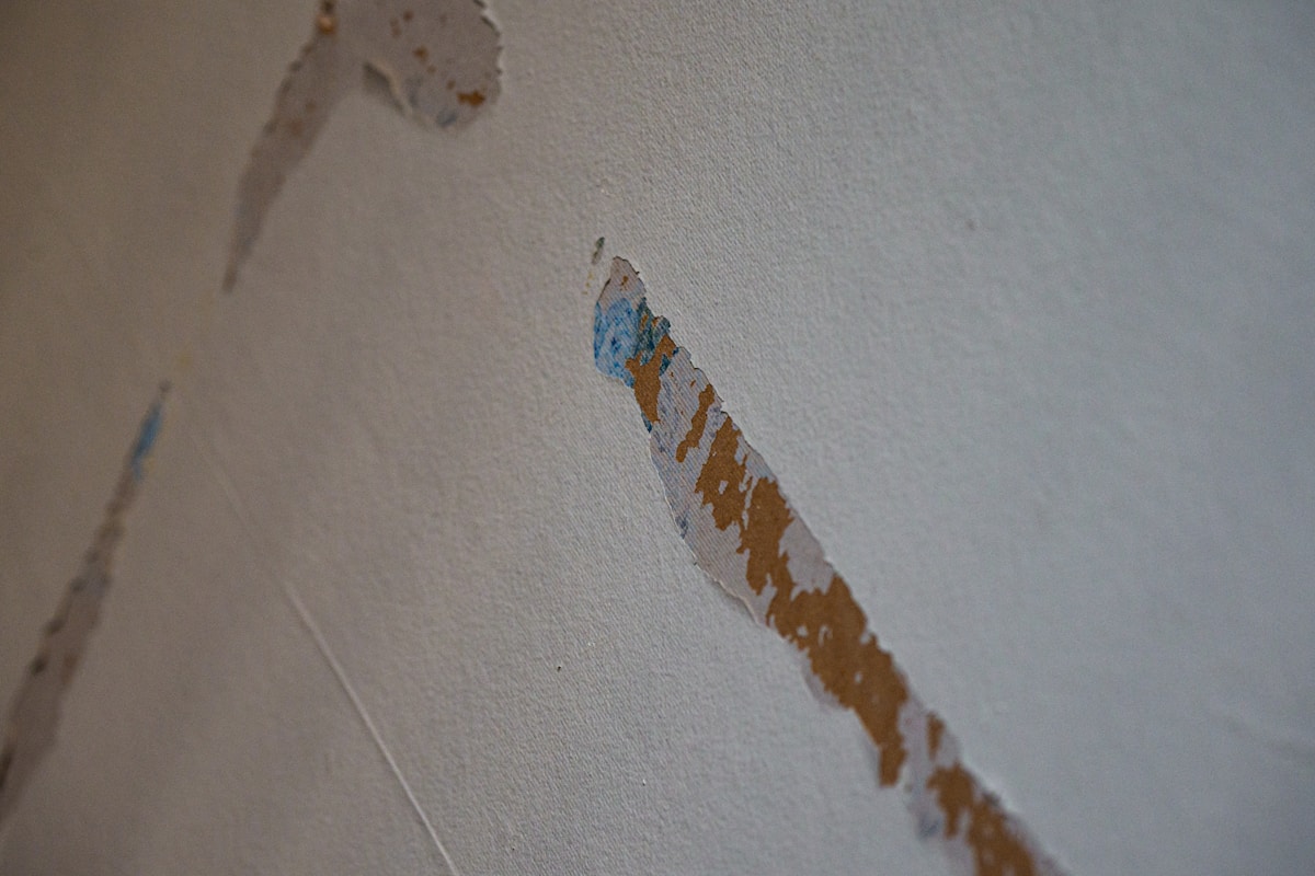 Flood Cleanup service in Richland, WA